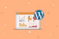 WordPress Google Analytics Kodu Ekleme